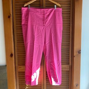LOFT Pencil Pants